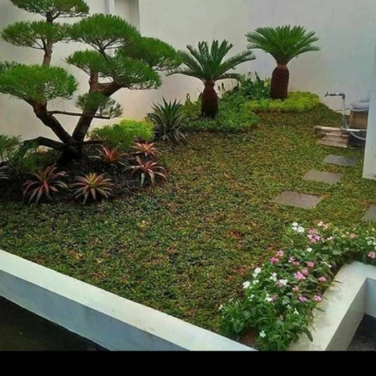 Berikut Ini Ide Desain Taman Minimalis Depan Rumah